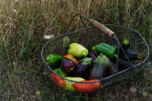 un panier rempli de légume