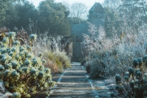 potager en janvier