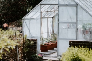 serre dans un jardin, utile pour le potager en février