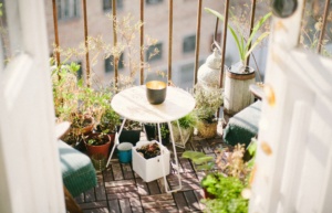 un potager sur un balcon