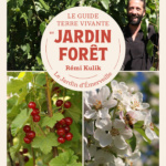 jardin-foret